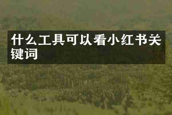 什么工具可以看小红书关键词