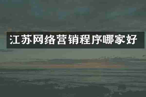 江苏网络营销程序哪家好