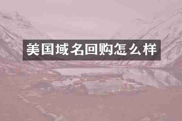 美国域名回购怎么样