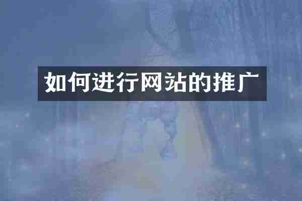 如何进行网站的推广