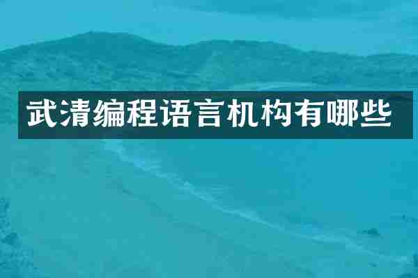 武清编程语言机构有哪些