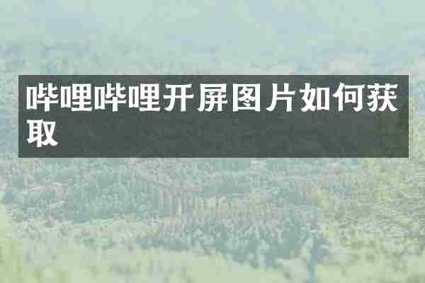 哔哩哔哩开屏图片如何获取
