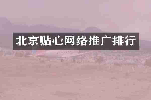 北京贴心网络推广排行