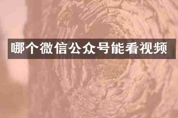 哪个微信公众号能看视频
