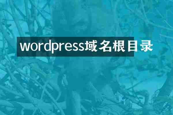 wordpress域名根目录
