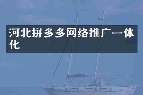河北拼多多网络推广一体化