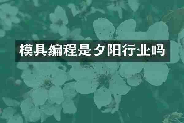 模具编程是夕阳行业吗