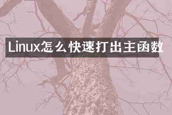 Linux怎么快速打出主函数