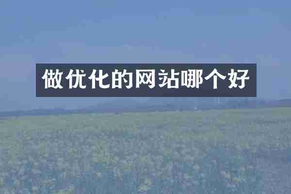 做优化的网站哪个好
