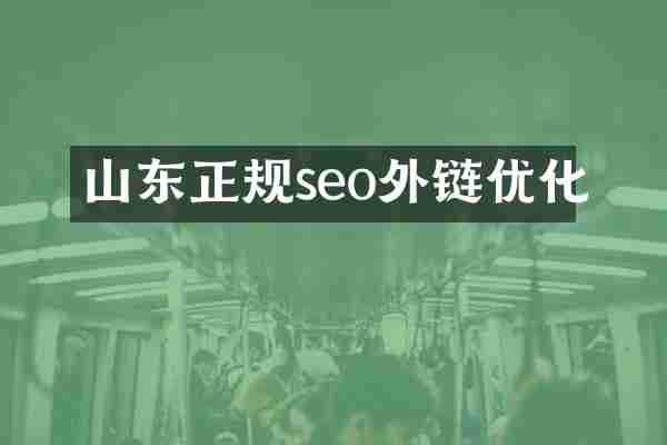 山东正规seo外链优化