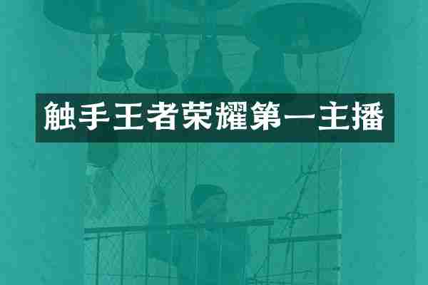触手王者荣耀第一主播