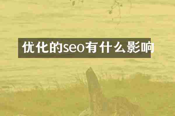 优化的seo有什么影响