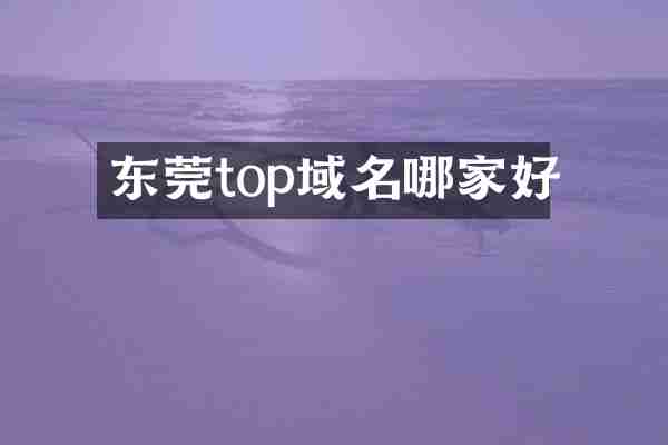 东莞top域名哪家好