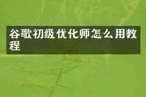 谷歌初级优化师怎么用教程