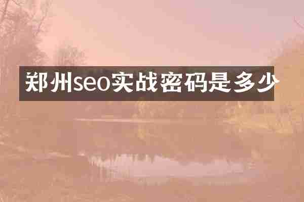 郑州seo实战密码是多少