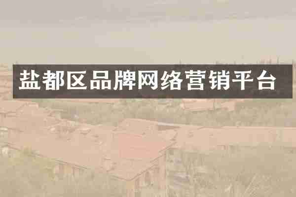盐都区品牌网络营销平台