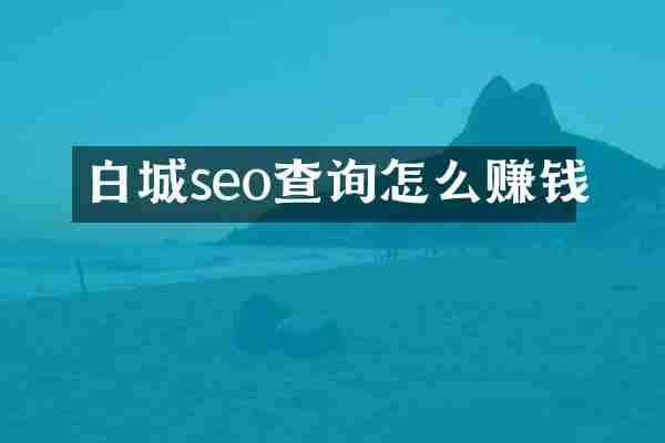 白城seo查询怎么赚钱