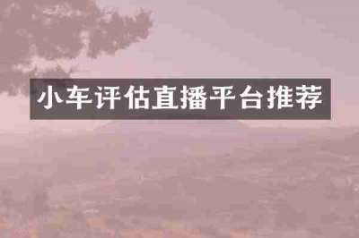 小车评估直播平台推荐