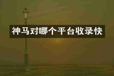 神马对哪个平台收录快