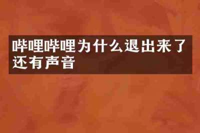 哔哩哔哩为什么退出来了还有声音