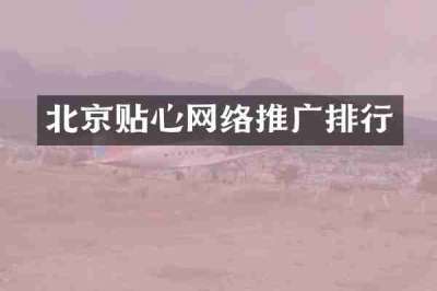 北京贴心网络推广排行