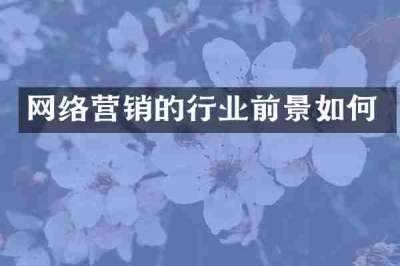 网络营销的行业前景如何
