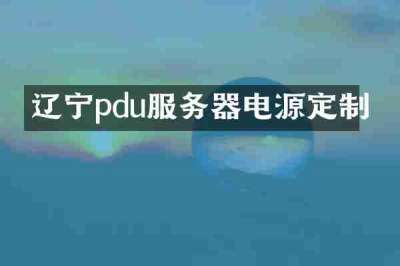辽宁pdu服务器电源定制
