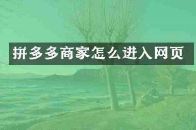 拼多多商家怎么进入网页
