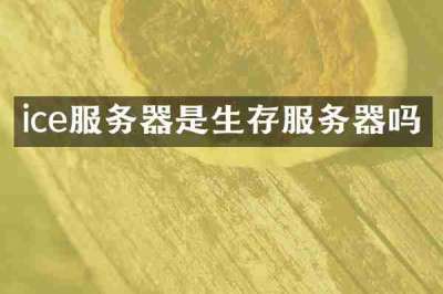 ice服务器是生存服务器吗