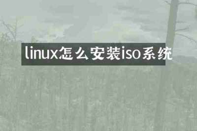 linux怎么安装iso系统