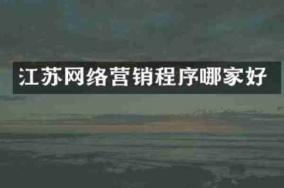 江苏网络营销程序哪家好