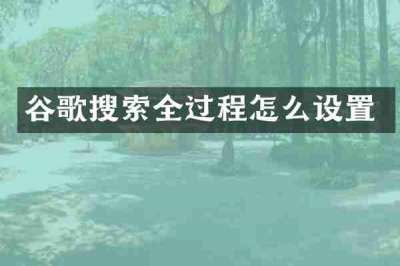 谷歌搜索全过程怎么设置