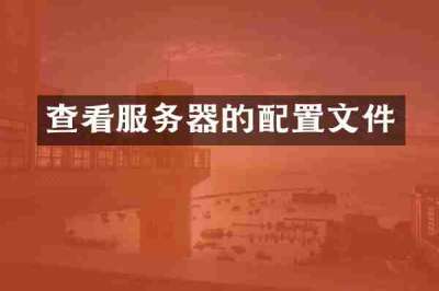 查看服务器的配置文件
