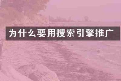 为什么要用搜索引擎推广