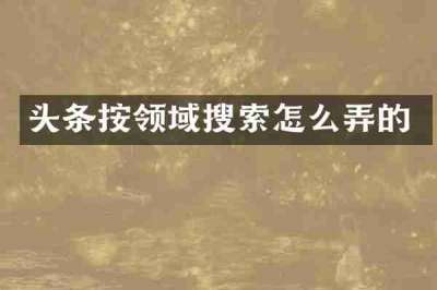 头条按领域搜索怎么弄的