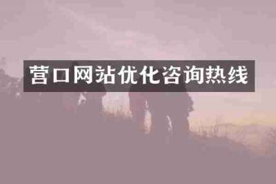 营口网站优化咨询热线