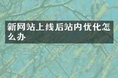 新网站上线后站内优化怎么办
