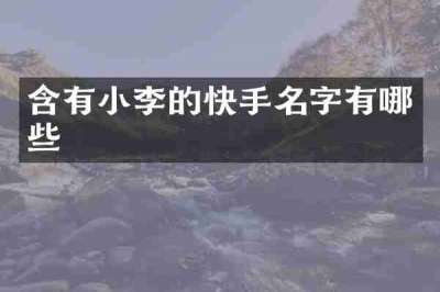 含有小李的快手名字有哪些