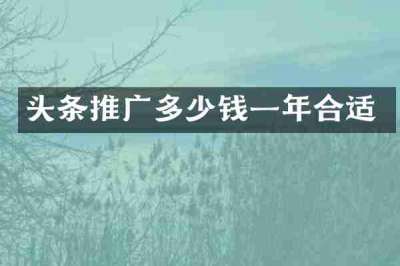 头条推广多少钱一年合适