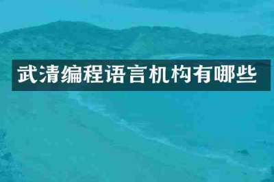 武清编程语言机构有哪些