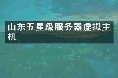 山东五星级服务器虚拟主机