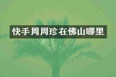 快手周周珍在佛山哪里