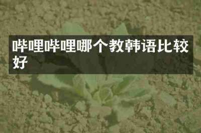 哔哩哔哩哪个教韩语比较好