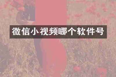 微信小视频哪个软件号