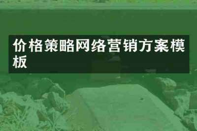 价格策略网络营销方案模板