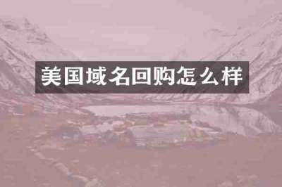 美国域名回购怎么样