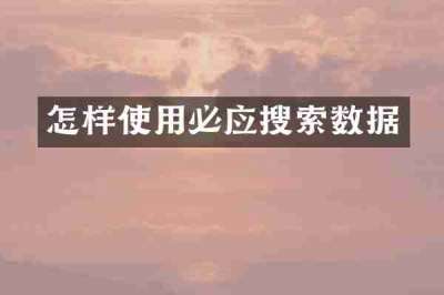 怎样使用必应搜索数据