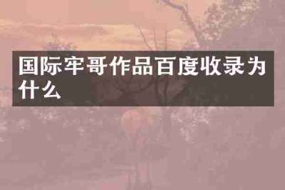 国际牢哥作品百度收录为什么