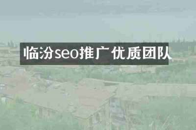 临汾seo推广优质团队