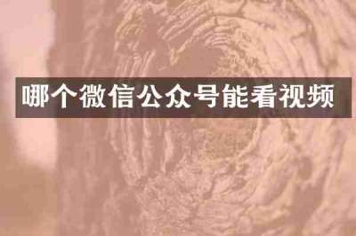 哪个微信公众号能看视频
